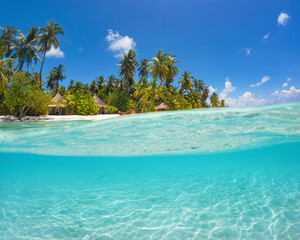  Beautiful maldives tropical island - Underwater Panorama