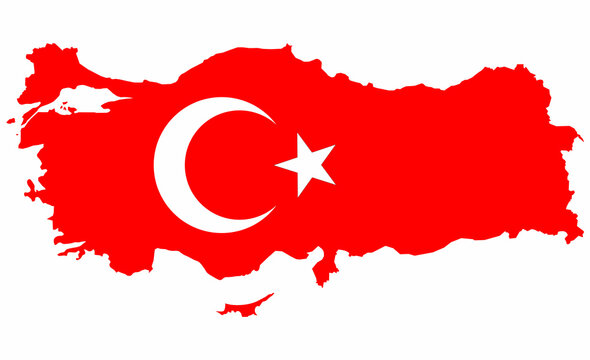 map and flag of turkey vector image on white background