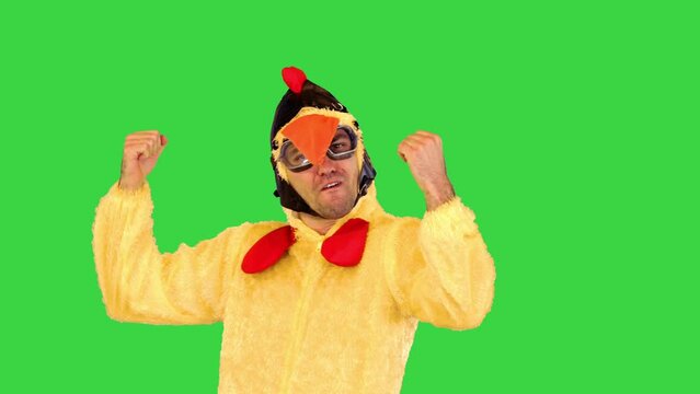 Young artist in chicken costume tries to entertain audience, showing thumbs up, taking different poses on a Green Screen, Chroma Key.