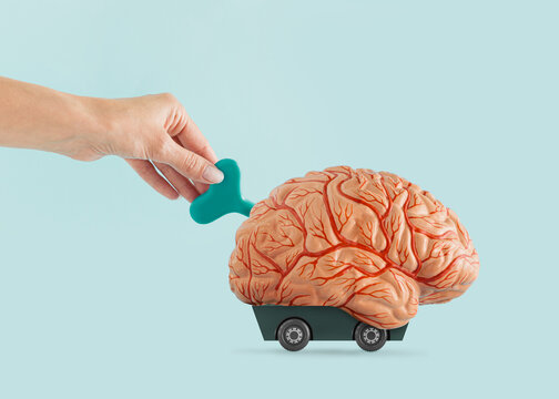 A young woman’s hand winds-up human brain on isolated pastel blue background. Minimal abstract concept of propaganda, indoctrination, influence, conditioning or manipulation. The idea of mind control.