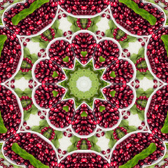 Colourful kaleidoscope art design abstract background with effect polygon circle ornament. Fractal...