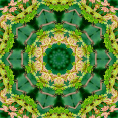 Colourful kaleidoscope art design abstract background with effect polygon circle ornament. Fractal...