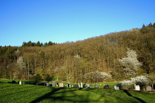 Gr&auml;ber auf gr&uuml;ner Wiese am Rand des Krofdorfer Forst im Fr&uuml;hling bei blauem Himmel und Sonnenschein auf dem Friedhof in Wettenberg Krofdorf-Gleiberg bei Gie&szlig;en in Hessen