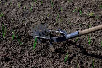manual cultivator for the garden, weed control tillage