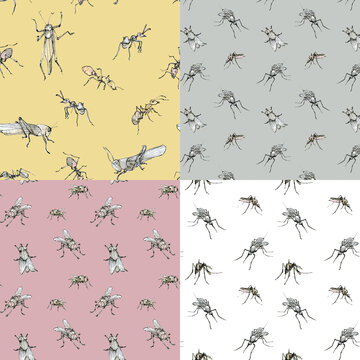 Watercolor seamless pattern set of flies, mosquitoes, grasshoppers pastel color sketch. Elegant insect drawn by hand with ink border on white, pink, blue, yellow.