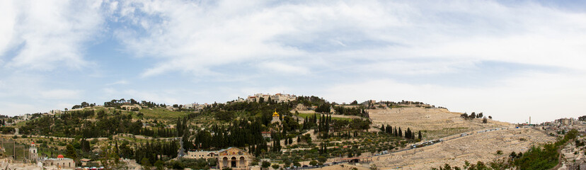 Fototapeta na wymiar Panoramic view of Mount of Olive. Church of All Nations and Mary Magdalene Convent on in Jerusalem city