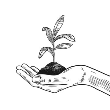 Human hand holding a plant sprout. Hand drawn illustration isolated on white background. Vector