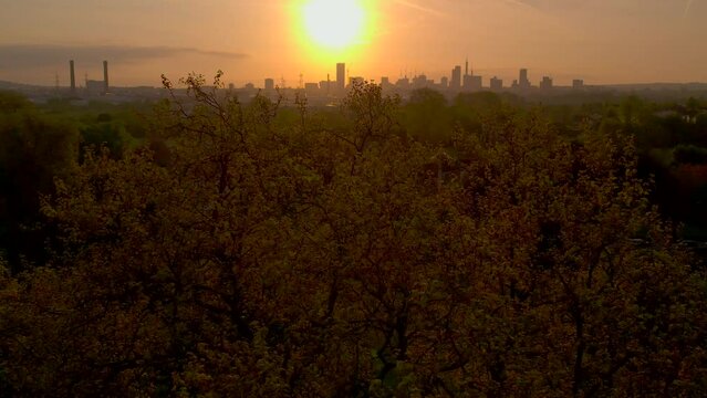 Video of drone rises over tree to reveal Croydon city skyline in the early morning, UK