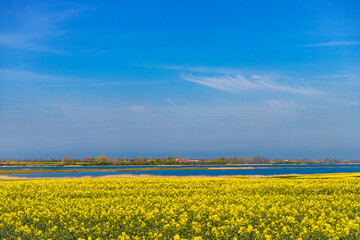 Obraz premium Ostseebad Kühlungsborn