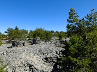 Entre Mézenc et Meygal