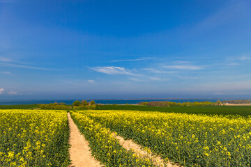 Fototapeta premium Ostseebad Kühlungsborn