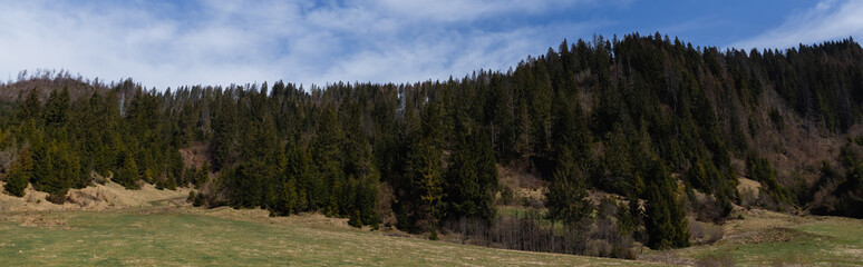 Trees on mountains with blue sky at background, banner.