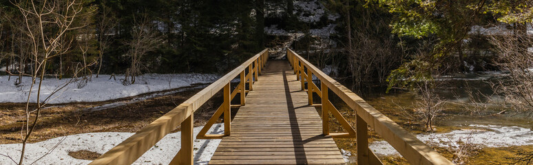 Fototapeta na wymiar Wooden bridge with sunlight in spring forest, banner.