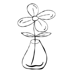 flowers, leaves, pots, line drawing, Line art.