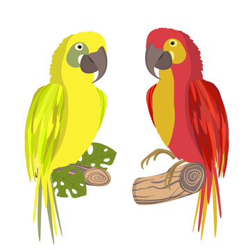 Cute cartoon Ara parrot on branch. Vector illustration for invitations, card, poster. Summer exotic print. Tropical parrot icon