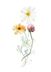 Watercolor bouquet with wild flowers, twigs. Pink, orange and yellow flowers, branches. Hand drawn floral illustration