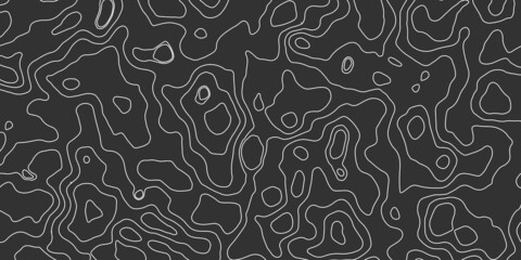Fototapeta premium Background of the topographic map. Topographic map lines, contour background. The concept of a conditional geography scheme and the terrain path. Dark on black. Vector illustration.