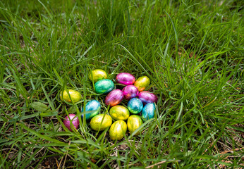 easter eggs in grass