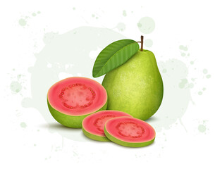 Pink Guava vector illustration with half Guava  and guava slices isolated on white background