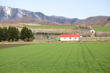 広大な牧草地に囲まれる作業小屋