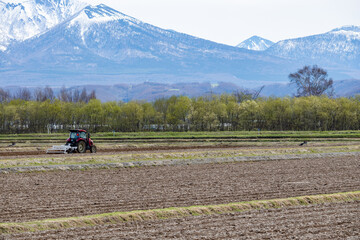 北の大地で広大な畑を力強く耕すトラクター
