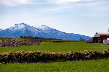 雪山を背景に北の大地に広がる広大な牧草地と作業小屋、ロールサイネージ