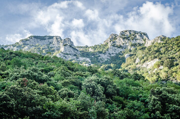 Rivers Pinios in the valley of Tempe - Greece.