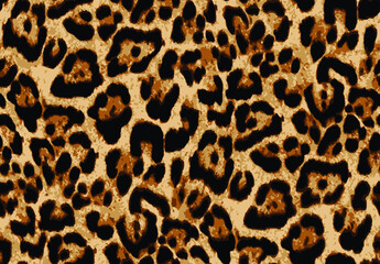 Fototapeta na wymiar leopard fur texture