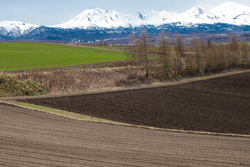北の大地に折り重なる初春の牧草地と防風林、雪が残った山々
