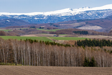 広大な牧草地帯と、防風林の向こうにも広がる雪が残った山
