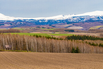 広大な牧草地帯と、防風林の向こうにも広がる雪が残った山