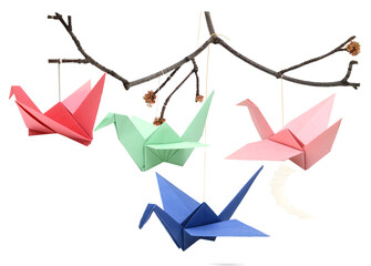 Hanging origami birds on branch