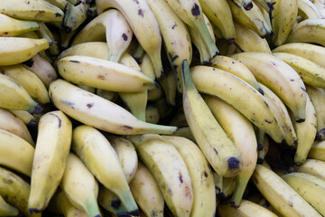 Ripe bananas lie in rows. Sale of bananas in the market. Banana transportation.