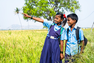 teenage sibling kids with school dress going to school at paddy farmland by looking around nature -...