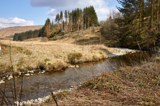 With Tima Water in the foreground, a view of damaged forestry plantation by the B709 between Langholm and Ettrick
