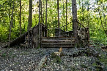 Empty handmade forest shelter made out of tree branches. Daytime, sunny, no people