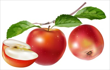 Apples fruits ,Whole fruit and slice with leaf.vector illstration