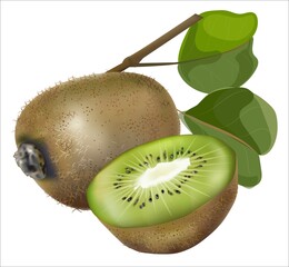Kiwi fruits ,Whole fruit and slice with leaf.vector illstration