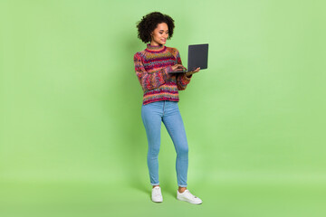 Full size photo of pretty young volume hairdo lady type laptop wear sweater jeans shoes isolated on green background