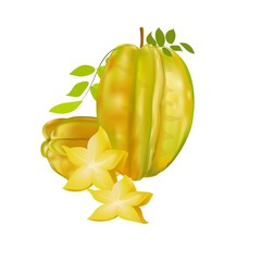 Carambola or star fruit ,whole fruit and slice ,vector illustration