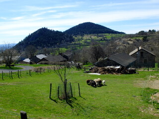 Entre Mézenc et Meygal