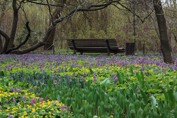 Spring in the Apothecary's garden. Moscow