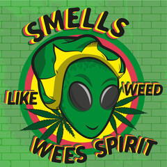 Graffitti of the head of an alien decorated with marijuana leaves and a title that says: Smells like weed. WeedSpirit
wallpaper