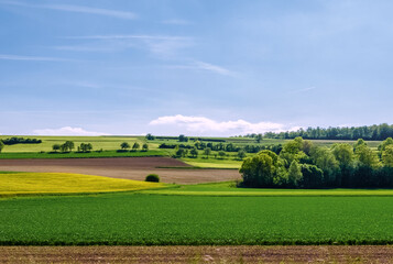 Fototapeta na wymiar German agricultural landscape with yellow rape seed field and green fields in late spring.