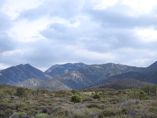 Fototapeta na wymiar The beautiful scenery of the Spring Mountains National Recreation Area, Clark County, Nevada.