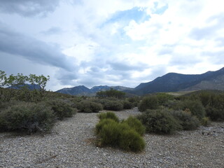 The beautiful scenery of the Spring Mountains National Recreation Area, Clark County, Nevada.