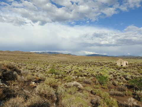 Palmetto Ghost Town ruins in the Mojave Desert, in  Esmeralda County, Nevada.