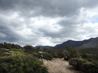 The beautiful scenery of the Spring Mountains National Recreation Area, Clark County, Nevada.