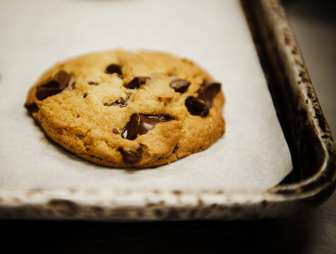 chocolate chip cookie sitting on a baking pan