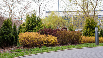 Naklejka premium Luxury landscape design of the yard in Europe. Park outdoor landscape and exterior design. Green lawn, beautifully designed garden, territory near the house. Banner format.